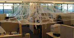 Spiderwebs