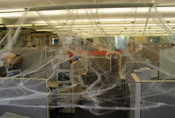 More spiderwebs