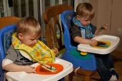 The first bites of cake