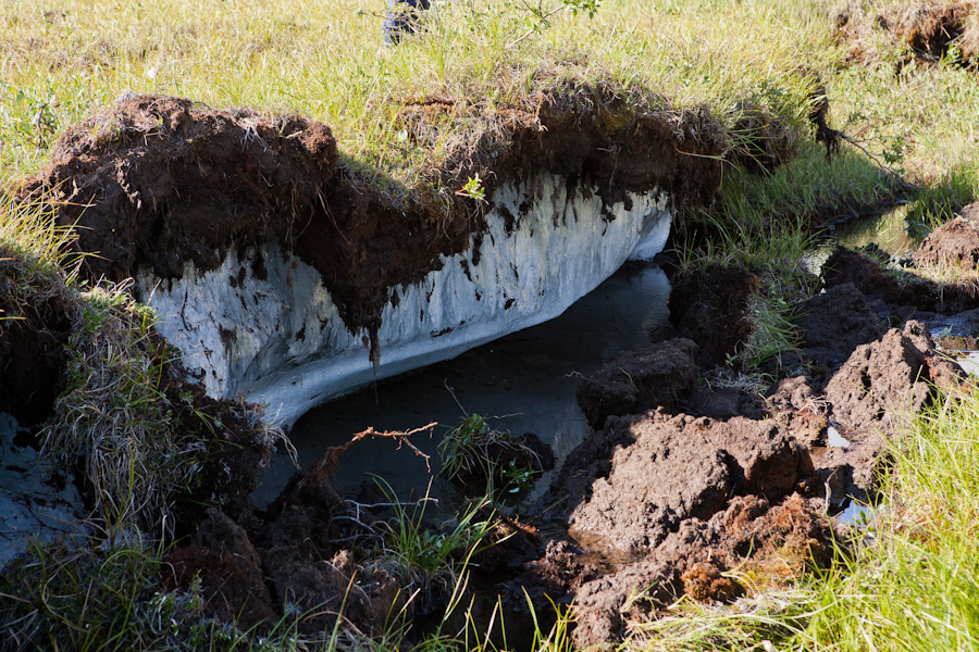 A sinkhole exposes the solid ice permafrost